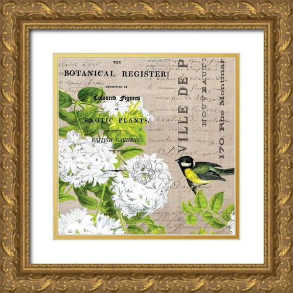 Jordan, Elizabeth 20x20 Gold Ornate Wood Framed with Double Matting Museum Art Print Titled - Botanical Register 2