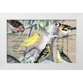 thumbnail image 1 of Jordan, Elizabeth 32x21 White Modern Wood Framed Museum Art Print Titled - Bird Botanical 4, 1 of 4