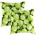 thumbnail image 1 of Jordan Manufacturing 16" x 16" Hydrangea Forest Green Forest Green Floral Square Outdoor Throw Pillow (2 Pack), 1 of 9