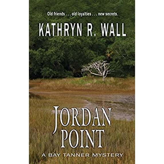 Pre-Owned Jordan Point (Paperback) 1622680774 9781622680771