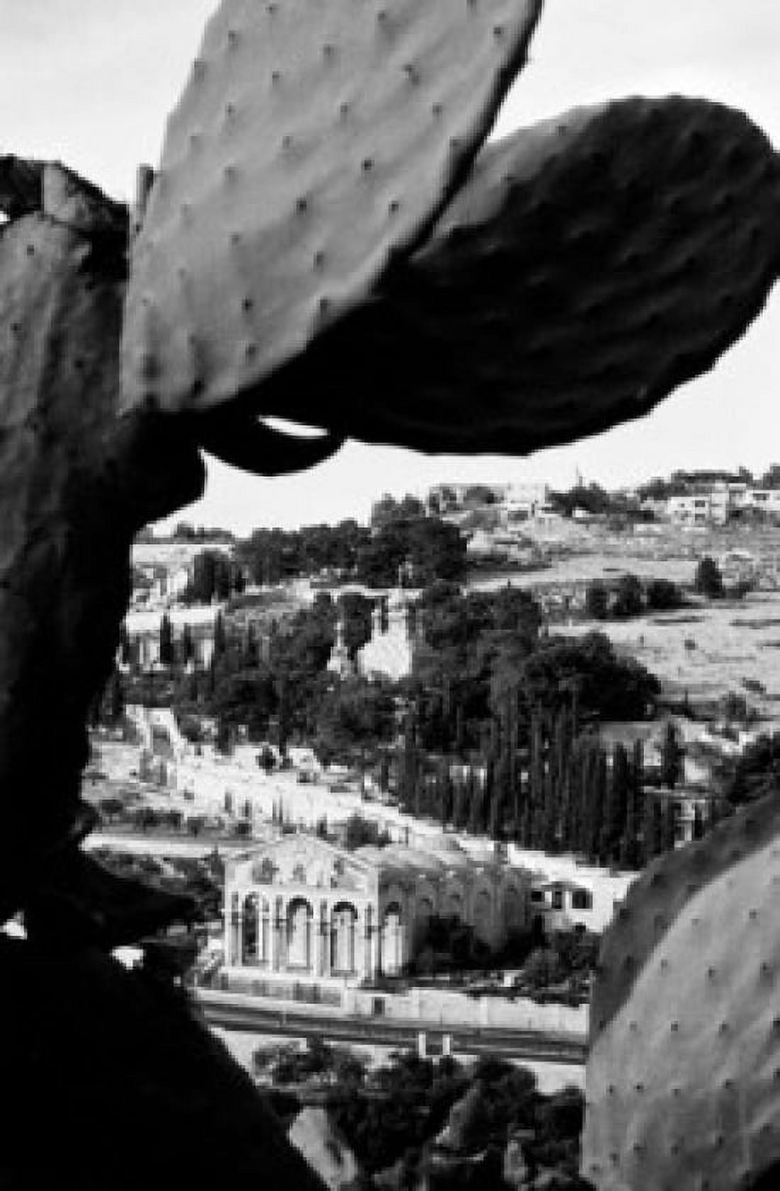 Jordan close up of cactus with city view behind Canvas Art - (24 x 36)