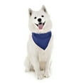 thumbnail image 1 of Jordefano Dog Cotton Bandanas - 6 Pack - Scarf Triangle Bibs for Small, Medium and, 1 of 2