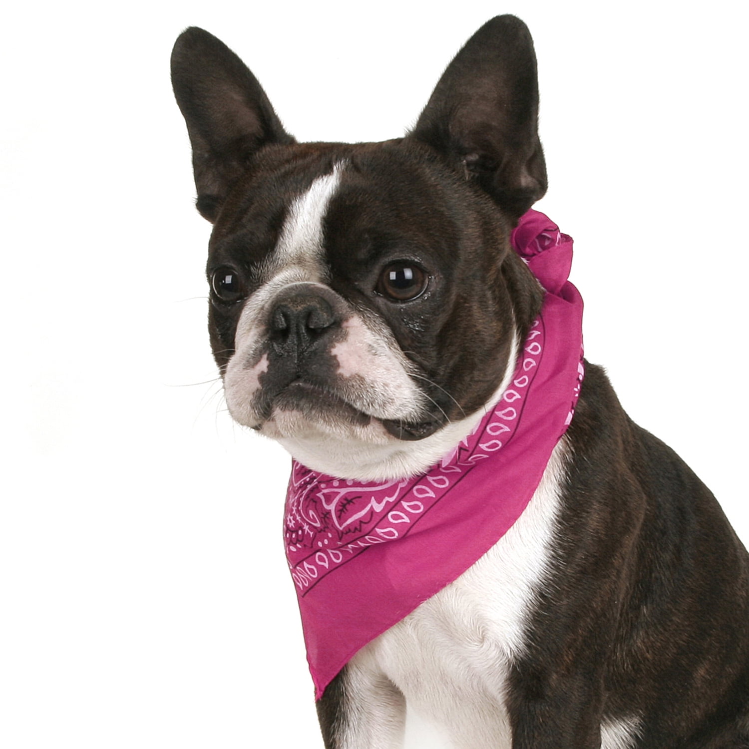 Dog bandanas wholesale deals