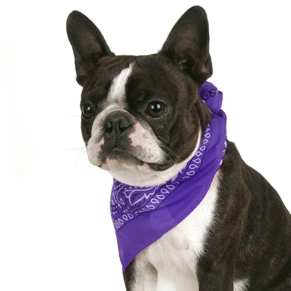 Jordefano Pack of 3 Premium Paisley Dog Bandanas in Cotton Great for Birthday