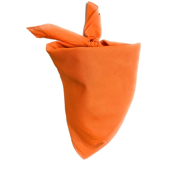 Jordefano Shawl Soft Polyester Scarf Neckerchief - 2 Pack (Plain Orange)