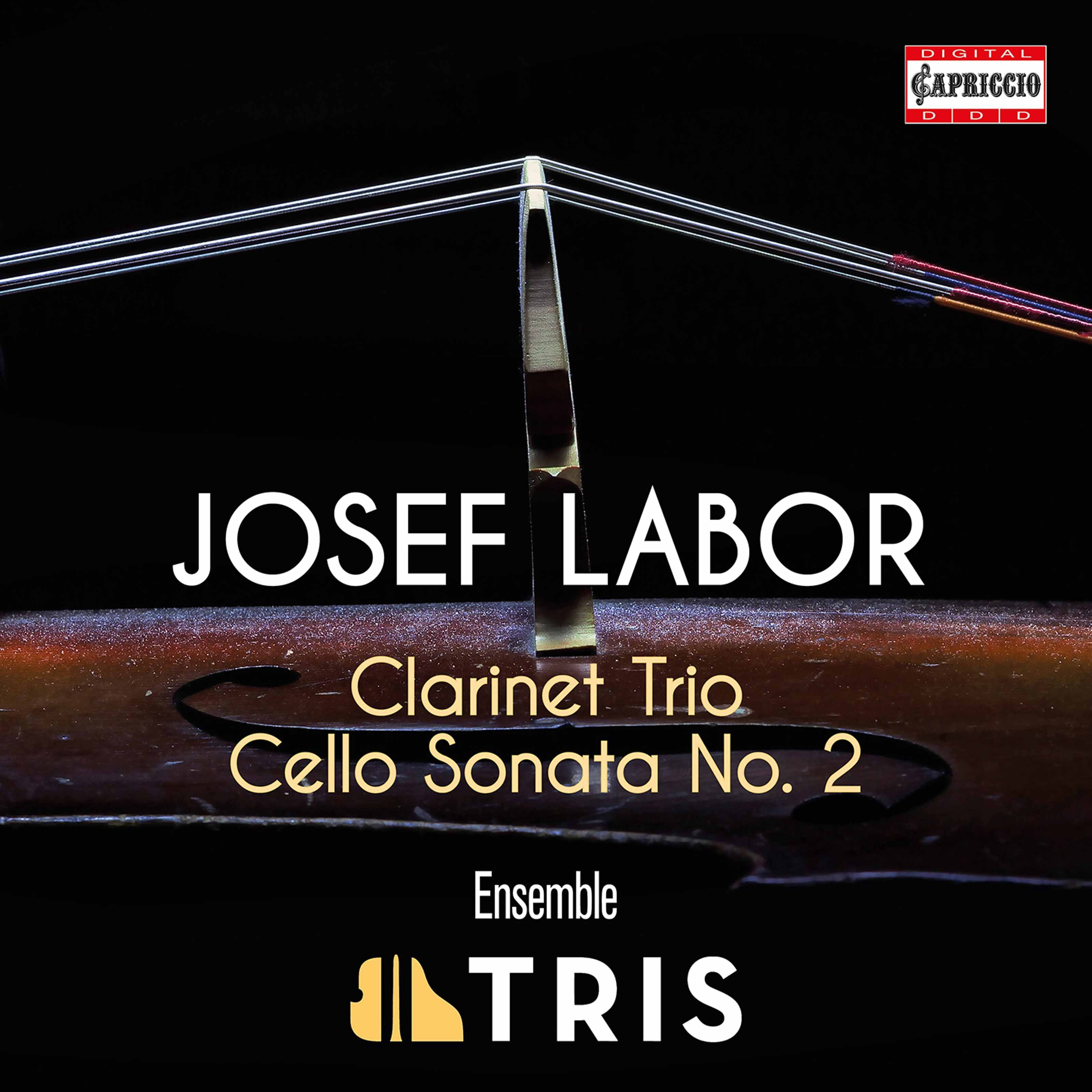 Jorg Wachsenegger - Clarinet Trio / Cello Sonata - Music & Performance - CD