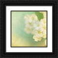 thumbnail image 1 of Jorgensen, Jennifer 12x12 Black Ornate Wood Framed with Double Matting Museum Art Print Titled - White Flowers II, 1 of 4