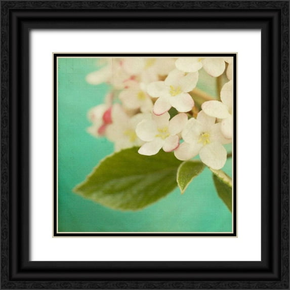 Jorgensen, Jennifer 12x12 Black Ornate Wood Framed with Double Matting Museum Art Print Titled - White Flowers IX