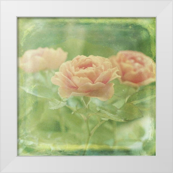 Jorgensen, Jennifer 12x12 White Modern Wood Framed Museum Art Print Titled - Dream in Pink X