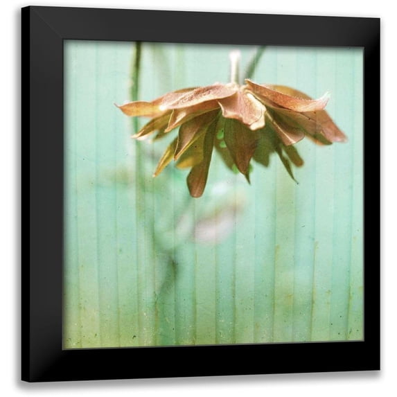 Jorgensen, Jennifer 15x15 Black Modern Framed Museum Art Print Titled - Dream in Pink II