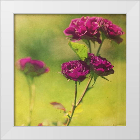 Jorgensen, Jennifer 15x15 White Modern Wood Framed Museum Art Print Titled - Waiting on Purple IV