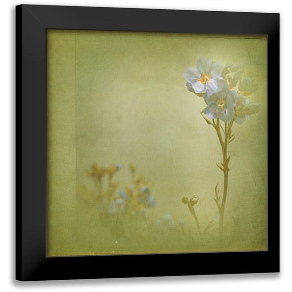 Jorgensen, Jennifer 20x20 Black Modern Framed Museum Art Print Titled - Filtered Dreams VIII