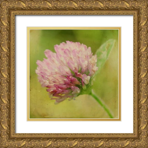 Jorgensen, Jennifer 20x20 Gold Ornate Wood Framed with Double Matting Museum Art Print Titled - Waiting on Purple VII