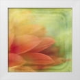 thumbnail image 1 of Jorgensen, Jennifer 20x20 White Modern Wood Framed Museum Art Print Titled - Filtered Dreams VII, 1 of 4