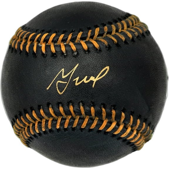 Jose Altuve Autographed Official Black MLB Baseball Houston Astros JSA #WIT570102