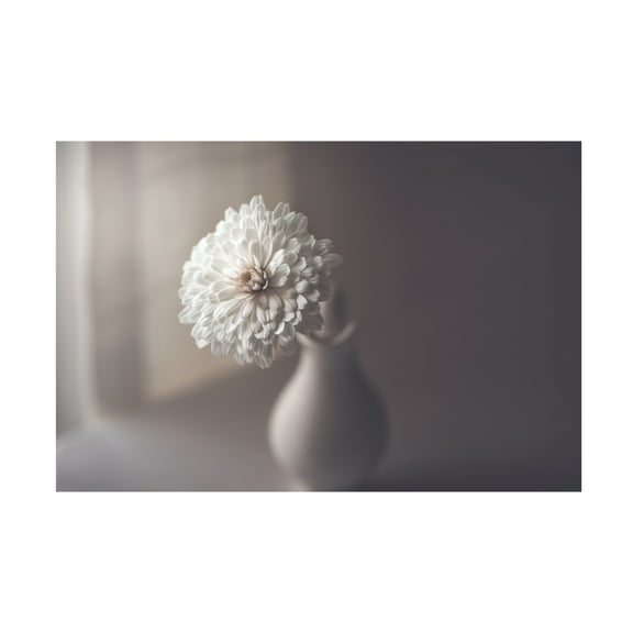 Jose Antonio Sanchez 'Window Light' Canvas Art - 19 x 12 Inches