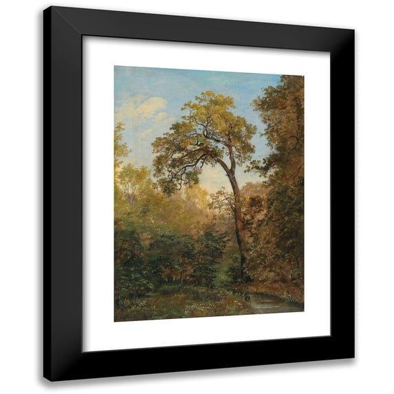 Josef Feid 14x18 Black Modern Framed Museum Art Print Titled - Woodland Interior