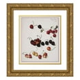 thumbnail image 1 of Josef Lauer 12x14 Gold Ornate Wood Frame and Double Matted Museum Art Print Titled - Cherries, 1 of 4