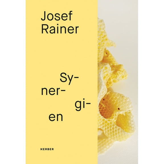 Josef Rainer: Synergies (Paperback)