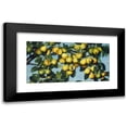 thumbnail image 1 of Joseph Decker 14x9 Black Modern Framed Museum Art Print Titled - Ripening Pears (C. 1884-1885), 1 of 5