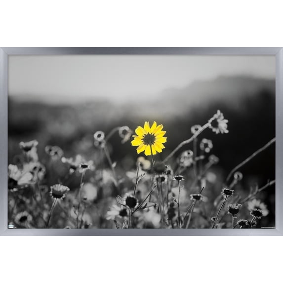 Joseph S Giacalone - A Bit Of Yellow Wall Poster, 14.725" x 22.375" Framed