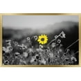 thumbnail image 1 of Joseph S Giacalone - A Bit Of Yellow Wall Poster, 22.375" x 34" Framed, 1 of 5