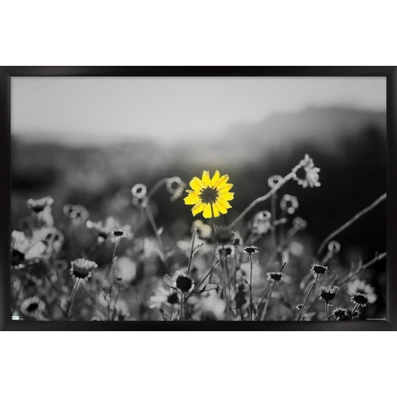 Joseph S Giacalone - A Bit Of Yellow Wall Poster, 22.375" x 34" Framed