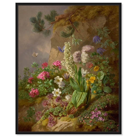 Joseph Schuster - Alpine Flower Canvas Vintage Floral Wall Art by Art Remedy, Black Frame, 30" x 36"