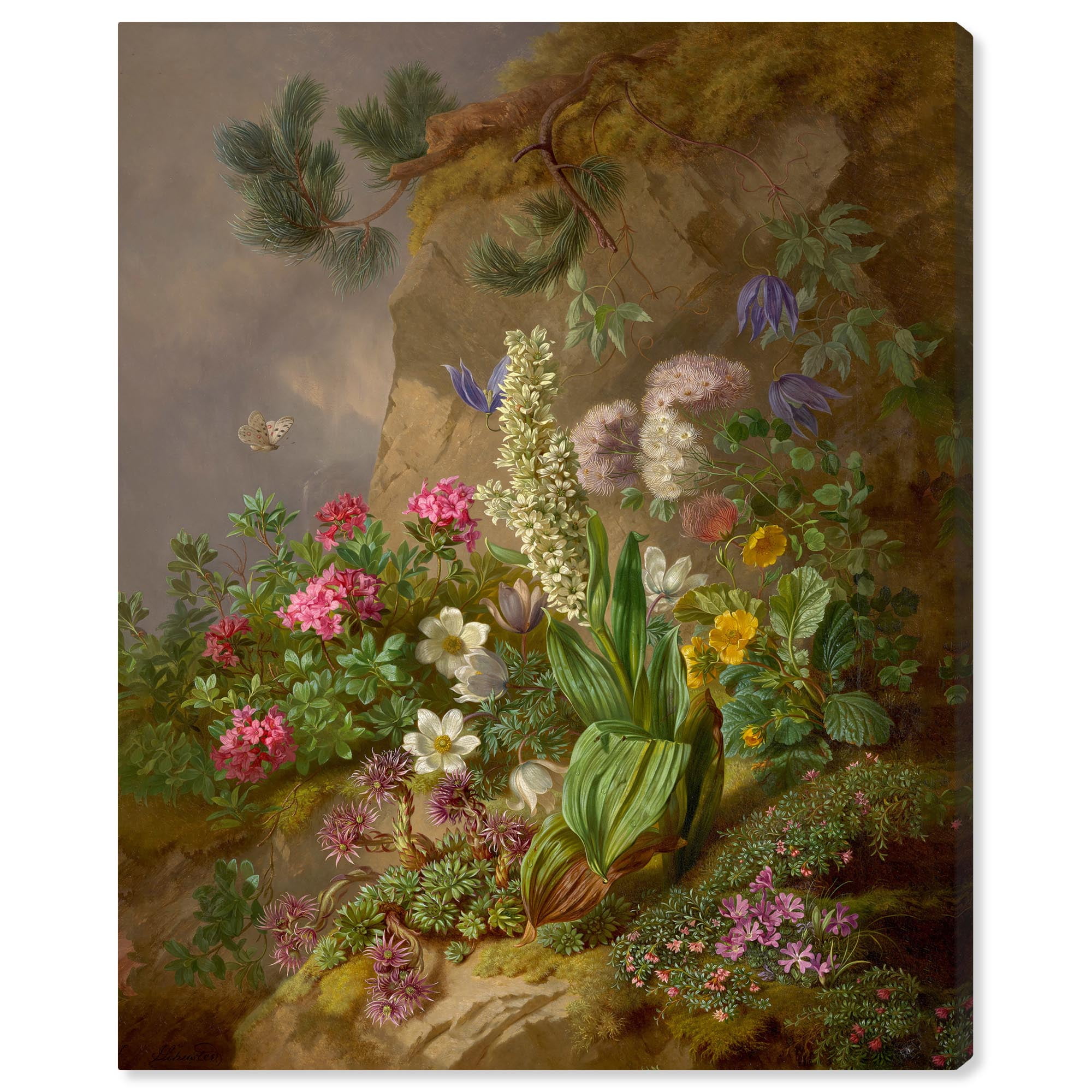 Alpine Flower Vintage Floral Canvas Wall Art, 20" x 16"