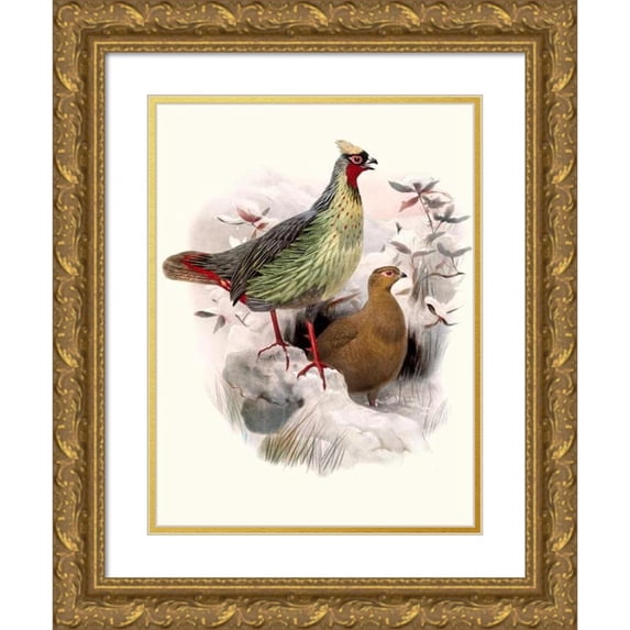 Joseph Smit 11x14 Gold Ornate Wood Frame and Double Matted Museum Art Print Titled - Ithalginis Bleeding. (1872)