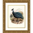 thumbnail image 1 of Joseph Smit 12x14 Gold Ornate Wood Frame and Double Matted Museum Art Print Titled - Numida Plumifera. (1872), 1 of 4