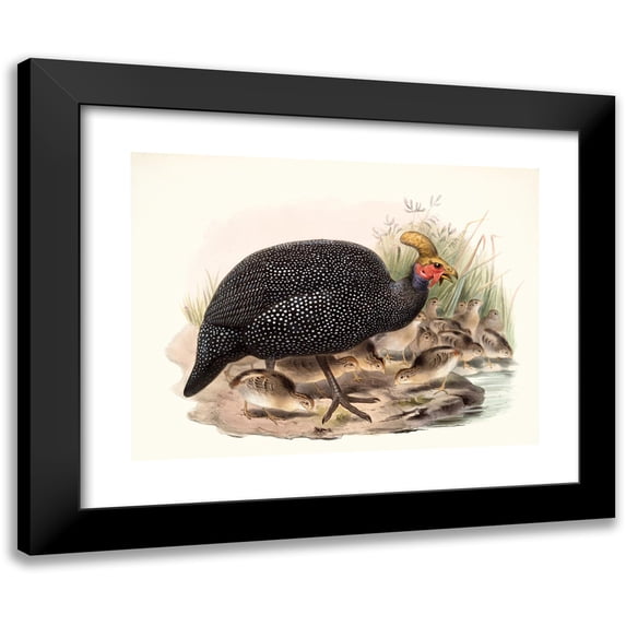 Joseph Smit 14x12 Black Modern Framed Museum Art Print Titled - The Nonsense Crowned. (1872)