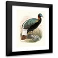 thumbnail image 1 of Joseph Smit 14x18 Black Modern Framed Museum Art Print Titled - Lophophorus Sclateri. (1872), 1 of 5