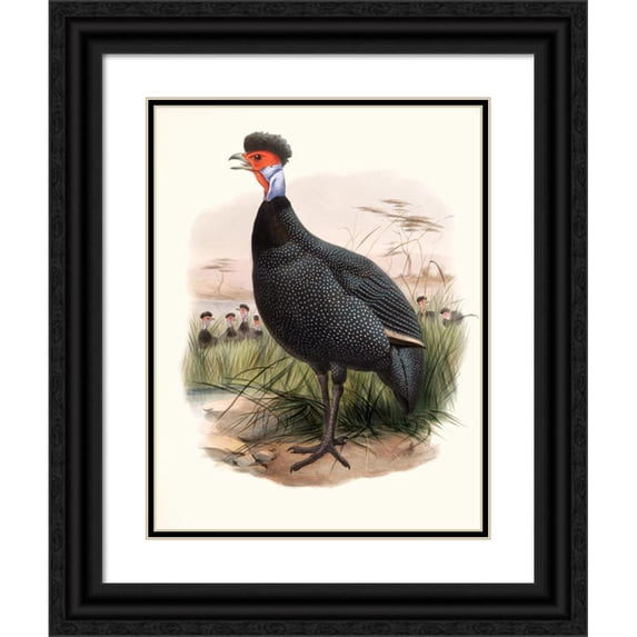 Joseph Smit 15x18 Black Ornate Wood Framed Double Matted Museum Art Print Titled - Numida Granti. (1872)