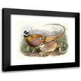 thumbnail image 1 of Joseph Smit 18x14 Black Modern Framed Museum Art Print Titled - Phasianus Reevesii. (1872), 1 of 5