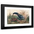 thumbnail image 1 of Joseph Wolf 14x11 Black Modern Framed Museum Art Print Titled - The Siamese Pheasant (1861-1867), 1 of 5