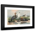 thumbnail image 1 of Joseph Wolf 14x11 Black Modern Framed Museum Art Print Titled - The Upland Goose (1861-1867), 1 of 5