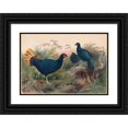 thumbnail image 1 of Joseph Wolf 14x11 Black Ornate Wood Framed Double Matted Museum Art Print Titled: The Rufous-Tailed Pheasant (1861-1867), 1 of 5