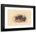 thumbnail image 1 of Joseph Wolf 18x14 Black Modern Framed Museum Art Print Titled - The Clotho (1861-1867), 1 of 5
