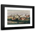 thumbnail image 1 of Joseph Wolf 24x17 Black Modern Framed Museum Art Print Titled - The White-Tailed Deer (1861-1867), 1 of 5
