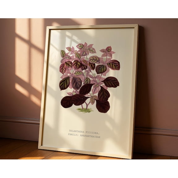 Josephs Coat Botanical Leaf Wall Art Print, Unframed Paper Poster 11x14in