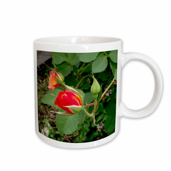 3drose, Josephs Coat Rosebud, Lovely Josephs Coat Rosebud Promises to Bloom Soon with Fire Like Brilliance, 15oz Mug