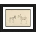 thumbnail image 1 of Josephus Augustus Knip 18x14 Black Ornate Wood Framed Double Matted Museum Art Print Titled - Two Donkeys (1787 - 1847), 1 of 5
