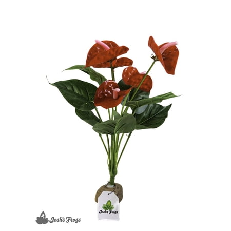 Josh's Frogs Artificial Anthurium Bush