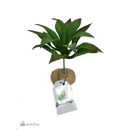 Josh's Frogs Artificial Reptile Rosette Plant