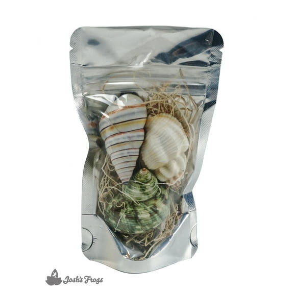 Josh's Frogs Assorted Small Hermit Crab Shells (3 Pack)