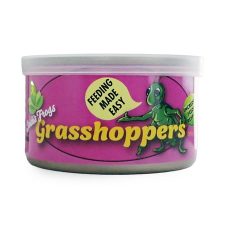 Josh's Frogs Canned Grasshoppers (35g)