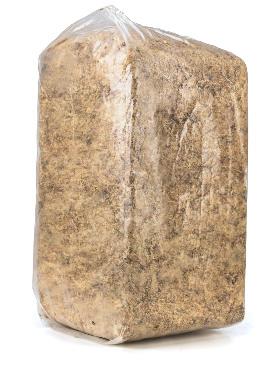 Josh's Frogs Chilean Dried Sphagnum Moss BULK Bale (5 kg)