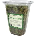 thumbnail image 1 of Sprig & Stone Fresh Mood Moss | Medium, 1 of 5