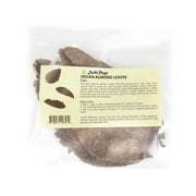 Joshs Frogs Indian Almond Leaves 5 pack
